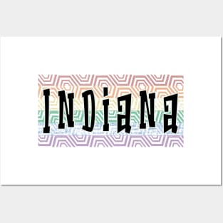 LGBTQ PATTERN AMERICA INDIANA Posters and Art